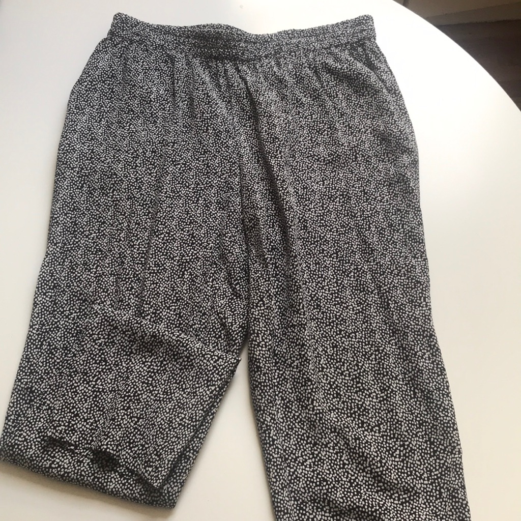 Black And White Silk Joie Pants